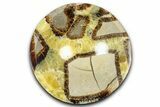 Eye-Eatching Polished Septarian Dish - Madagascar #371708-1